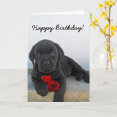 Happy Birthday Labrador Retriever greeting card Kaart (Gele Bloem)