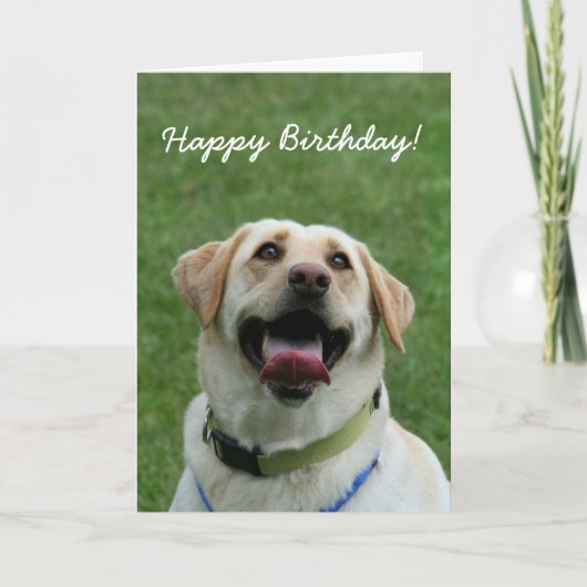 Happy Birthday Labrador Retriever greeting card Kaart (Voorkant)