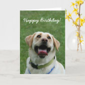 Happy Birthday Labrador Retriever greeting card Kaart (Gele Bloem)