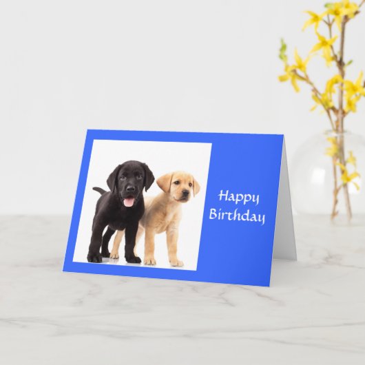 Happy Birthday Labrador Retriever Puppies Kaart (Gele Bloem)
