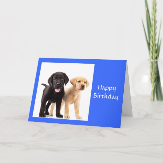 Happy Birthday Labrador Retriever Puppies Kaart (Voorkant)