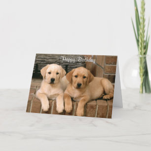 Happy Birthday Labrador Retriever Puppies Kaart