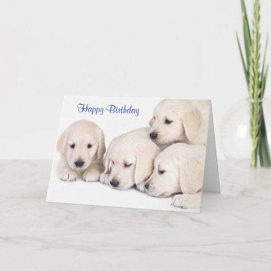 Happy Birthday Labrador Retriever Puppies Kaart (Voorkant)