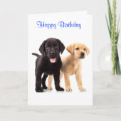 Happy Birthday Labrador Retriever Puppies Kaart (Voorkant)