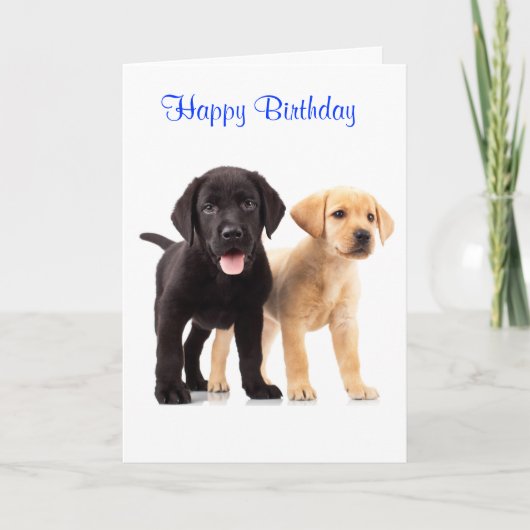 Happy Birthday Labrador Retriever Puppies Kaart (Voorkant)