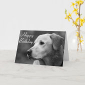 Happy Birthday Labrador Retriever Puppy Card Kaart (Gele Bloem)