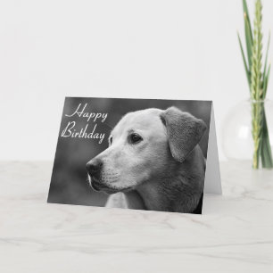 Happy Birthday Labrador Retriever Puppy Card Kaart