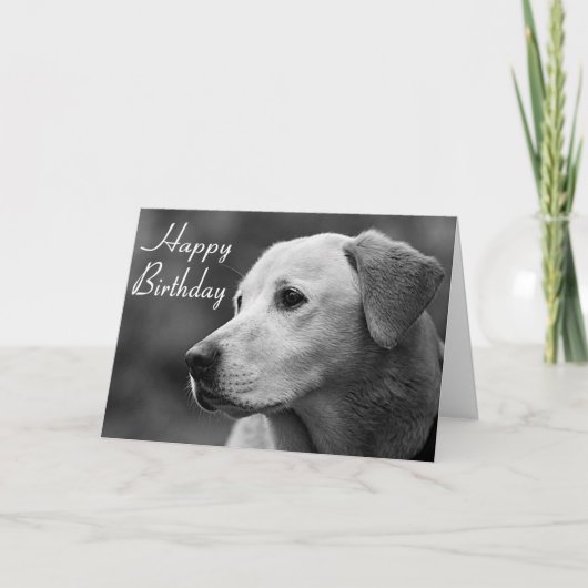 Happy Birthday Labrador Retriever Puppy Card Kaart (Voorkant)