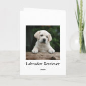 Happy Birthday Labrador Retriever Puppy Card Kaart (Achterkant)