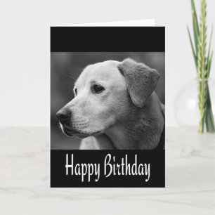 Happy Birthday Labrador Retriever Puppy Dog Black Kaart