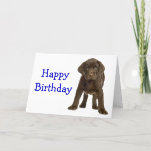 Happy Birthday Labrador Retriever Puppy Dog Card Kaart