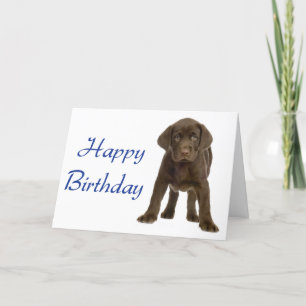 Happy Birthday Labrador Retriever Puppy Dog Card Kaart