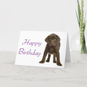 Happy Birthday Labrador Retriever Puppy Dog Card Kaart