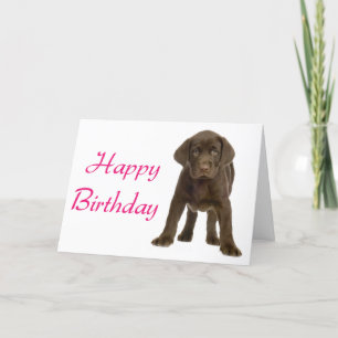 Happy Birthday Labrador Retriever Puppy Dog Card Kaart