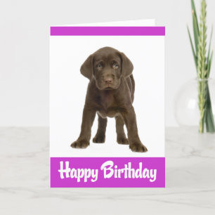 Happy Birthday Labrador Retriever Puppy Dog Card Kaart