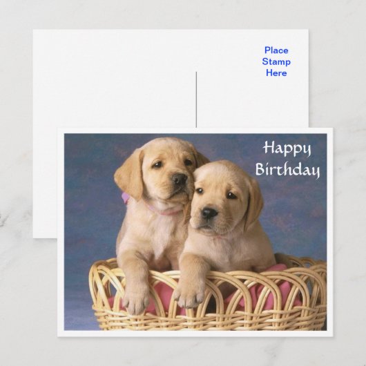 Happy Birthday Labrador Retriever Puppy Post Kaart (Voorkant / Achterkant)