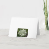 Happy Birthday Lace Kaart (Achterkant)