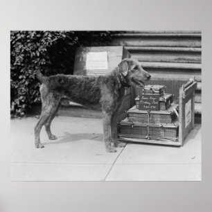 Happy Birthday Laddie Boy, jaren 20 Poster