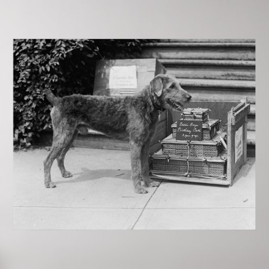 Happy Birthday Laddie Boy, jaren 20 Poster (Voorkant)