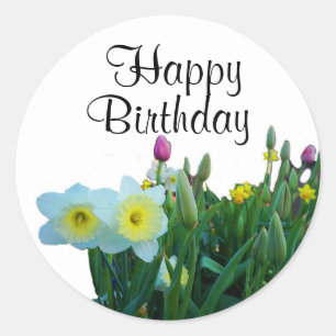 Happy Birthday Large-Cupped Daffodil #2 Stickers