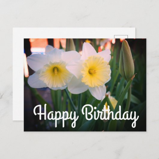 Happy Birthday Large-Cupped Daffodil Briefkaart (Voorkant / Achterkant)