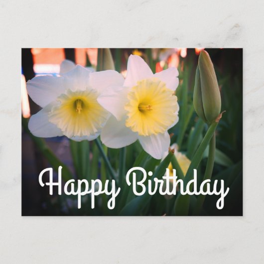 Happy Birthday Large-Cupped Daffodil Briefkaart (Voorkant)