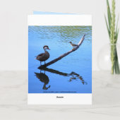 Happy Birthday Little Bird Humor Kaart (Achterkant)