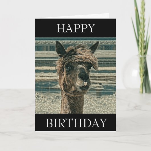 Happy Birthday Llama - Verjaardag Kaart (Voorkant)