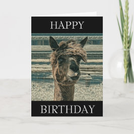 Happy Birthday Llama - Verjaardag Kaart