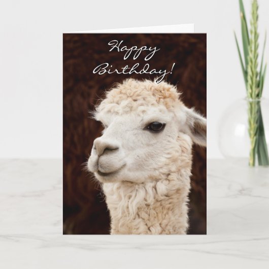 Happy Birthday Llama wenskaart Kaart (Voorkant)