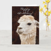 Happy Birthday Llama wenskaart Kaart (Gele Bloem)