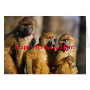 Happy Birthday Love van je apen Fun Animal