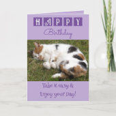 Happy Birthday maakt een makkelijke kattenfoto paa Kaart (Voorkant)