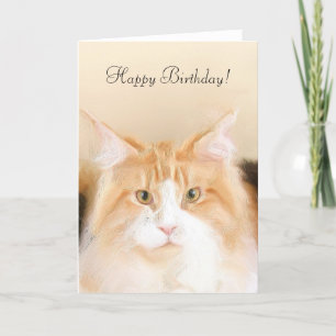 Happy Birthday Main Coon Cat Kaart