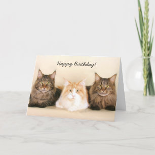 Happy Birthday Maine Coon Cats wenskaart Kaart