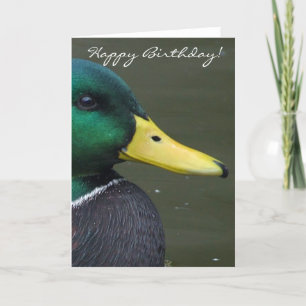 Happy Birthday Mallard Duck Kaart