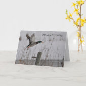 Happy Birthday Mallard Duck Kaart (Gele Bloem)