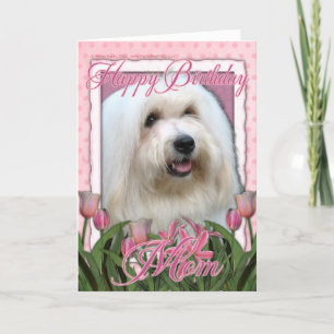Happy Birthday Mam - Coton de Tulear Kaart