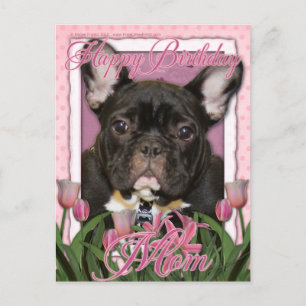 Happy Birthday Mam - French Bulldog - Blauwgroen Briefkaart