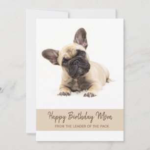 Happy Birthday Mam French Bulldog Foto Feestdagenkaart