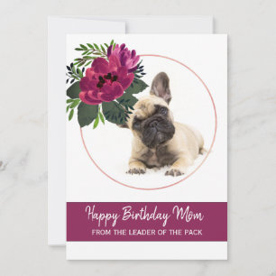 Happy Birthday Mam French Bulldog Foto Greeting Feestdagenkaart