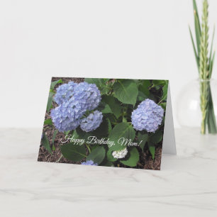 Happy Birthday Mam,  Paarse Hibiscus Kaart