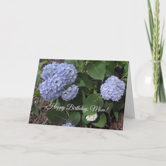 Happy Birthday Mam,  Paarse Hibiscus Kaart (Voorkant)