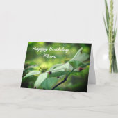 Happy Birthday mama Dogwood Flower Kaart (Voorkant)