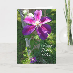 Happy Birthday mama  Paarse Flower Clematis Kaart