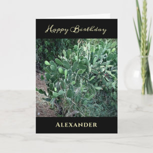 Happy Birthday Mannen Pap Natuur personaliseert Kaart
