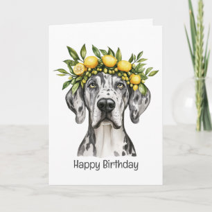 Happy Birthday Merle Great Dane Dog Lemon Crown Kaart