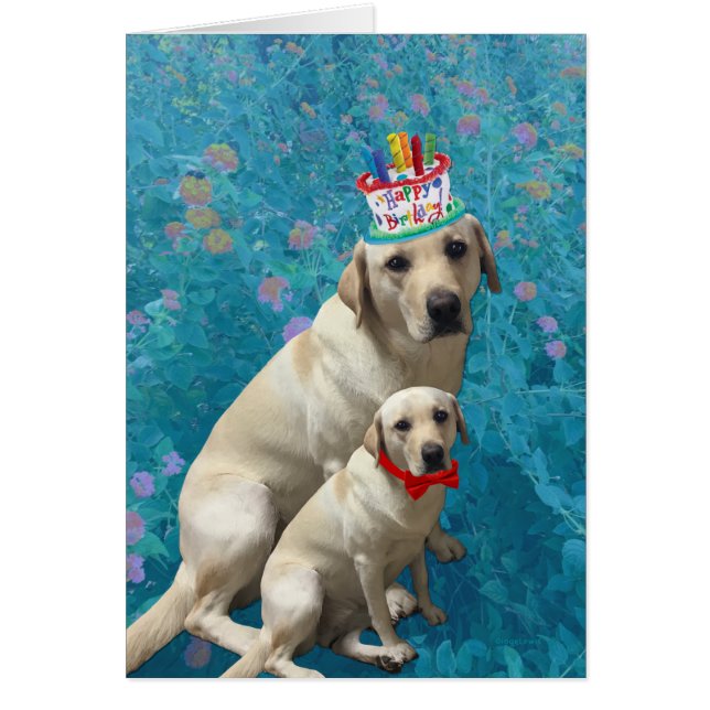Happy Birthday met Labrador Dogs, Schattig (Voorkant)