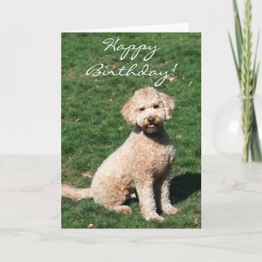 Happy Birthday Mini Goldendoodle wenskaart Kaart (Voorkant)