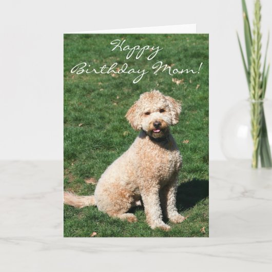 Happy Birthday Mom Mini Goldendoodle wenskaart Kaart (Voorkant)